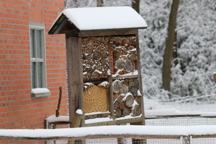 Sneeuw in Maria-ter-Heide (Kinderboerderij Mikerf).