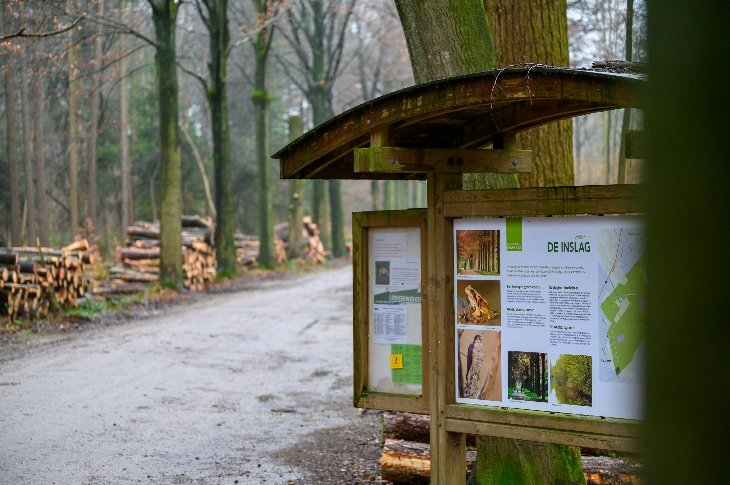 Ingang De Inslag met de gekapte boomstammen.