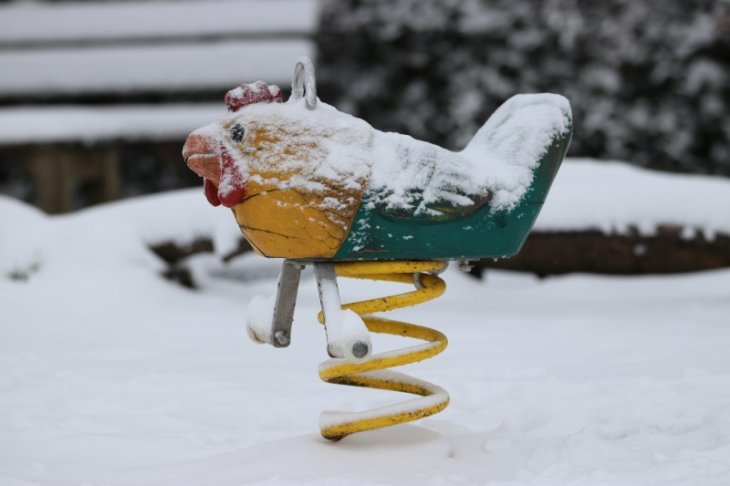 Sneeuw in Maria-ter-Heide (Kinderboerderij Mikerf)