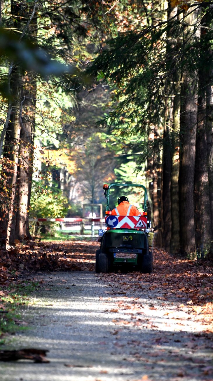 Bladvrij maken van het wandelpad in park De Mik.