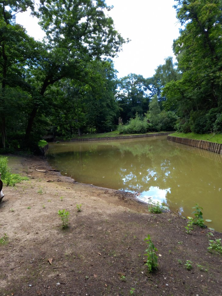 [2022-07-08] Park De Mik - Vijver laagwater