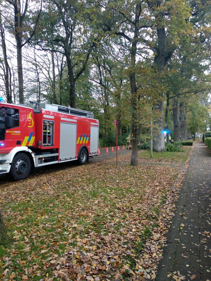 Brandweer interventie - Stormschade.