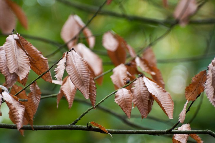 Herfst in Maria-ter-Heide 2019 (18)