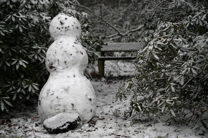 Sneeuw in Maria-ter-Heide