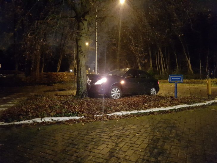 Auto tegen boom 1