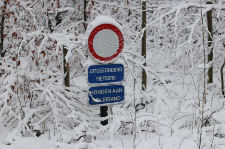 Sneeuw in Maria-ter-Heide 68