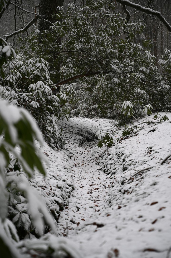 Sneeuw in Maria-ter-Heide