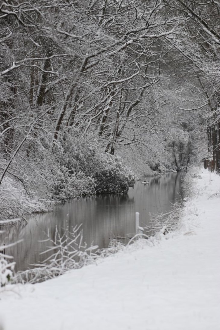 Sneeuw in Maria-ter-Heide.