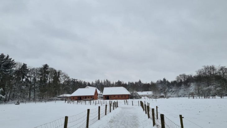 Sneeuw in Maria-ter-Heide (Kinderboerderij Mikerf).