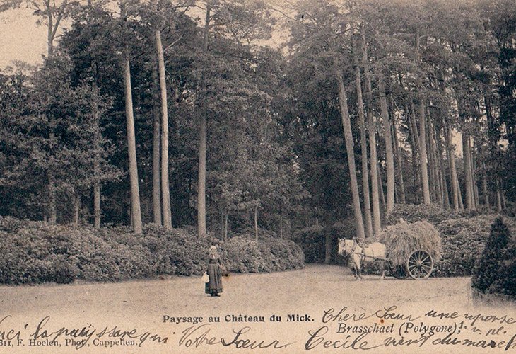 Landschap rond kasteel De Mick