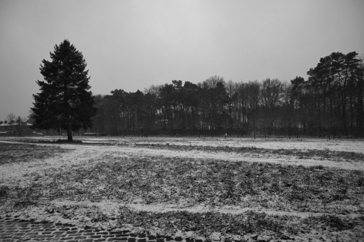 Sneeuw in Maria-ter-Heide