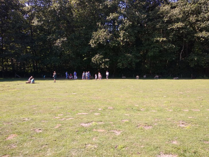 Oogstfeest Kinderboerderij 2019 4