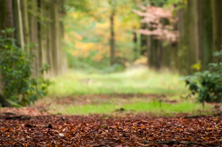 Herfst in Maria-ter-Heide 2019 (14)