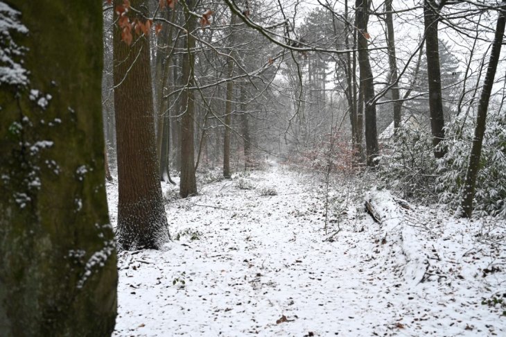 Sneeuw in Maria-ter-Heide