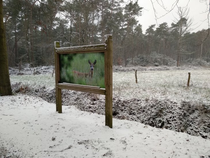 Sneeuw in Maria-ter-Heide