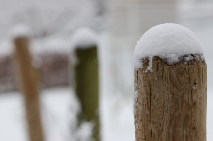 Sneeuw in Maria-ter-Heide.