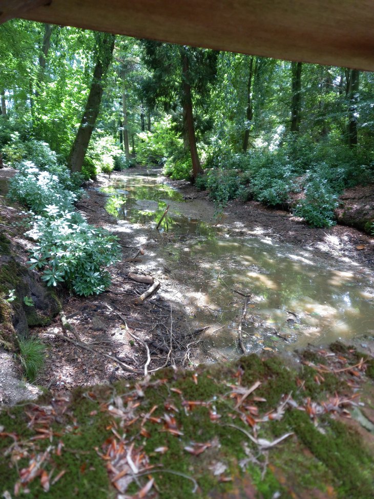 [2022-07-08] Park De Mik - Hofgracht laagwater