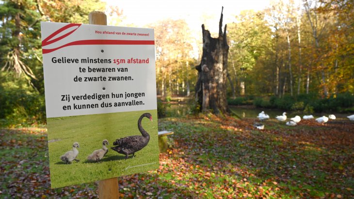 Waarschuwingsbord voor de zwarte zwanen