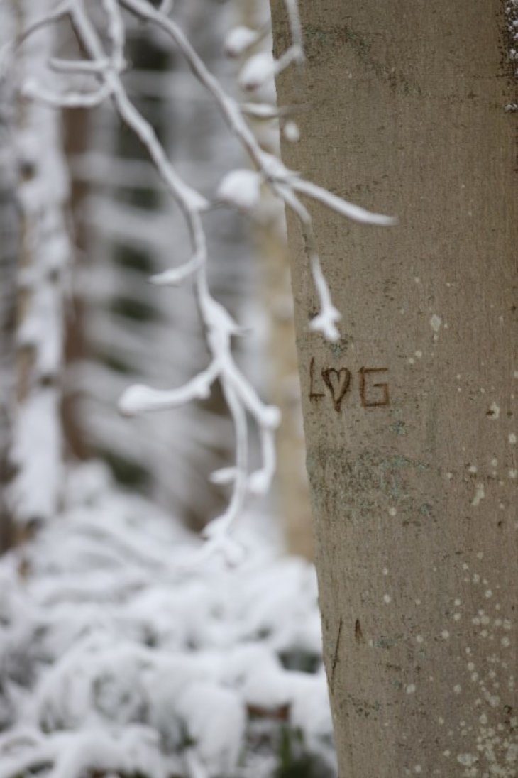 Sneeuw in Maria-ter-Heide.