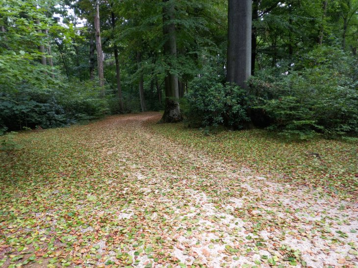 Zomerstress in park De Mik.