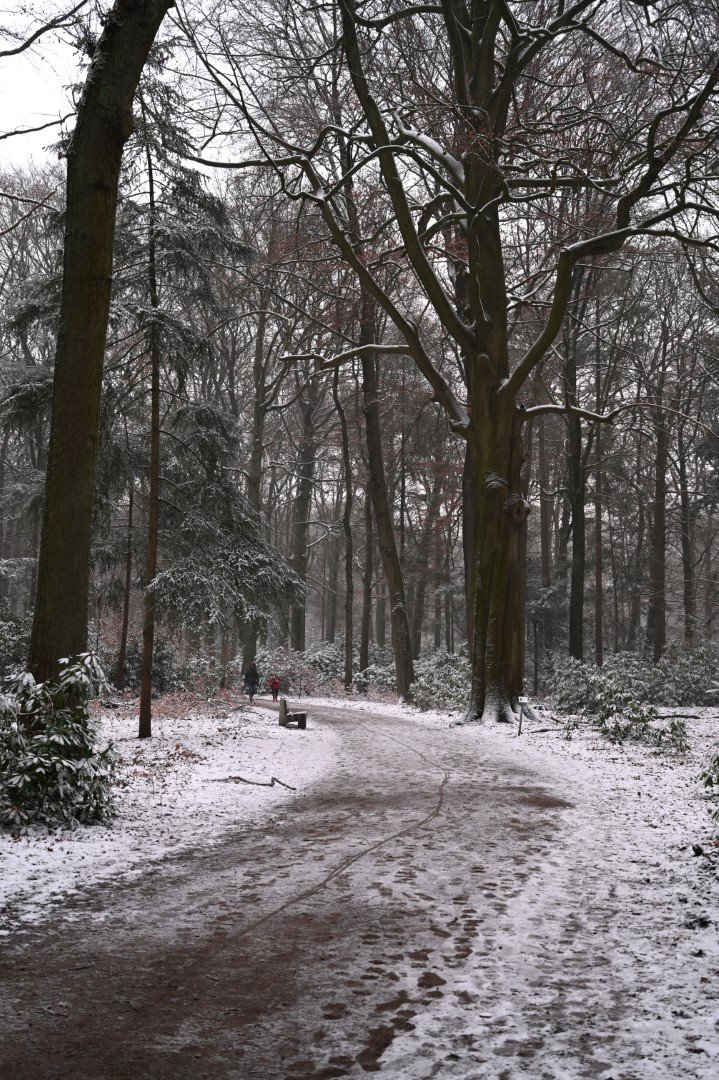 Sneeuw in Maria-ter-Heide