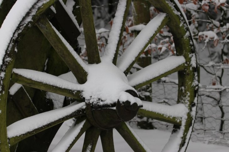 Sneeuw in Maria-ter-Heide (Kinderboerderij Mikerf).