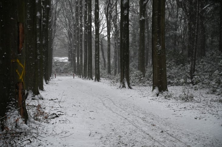 Sneeuw in Maria-ter-Heide