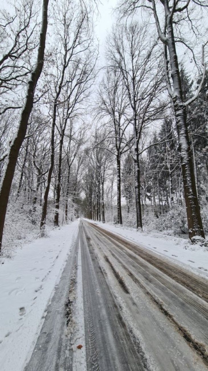 Sneeuw in Maria-ter-Heide (Kerkedreef).