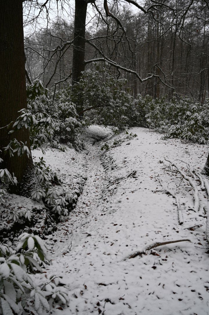 Sneeuw in Maria-ter-Heide