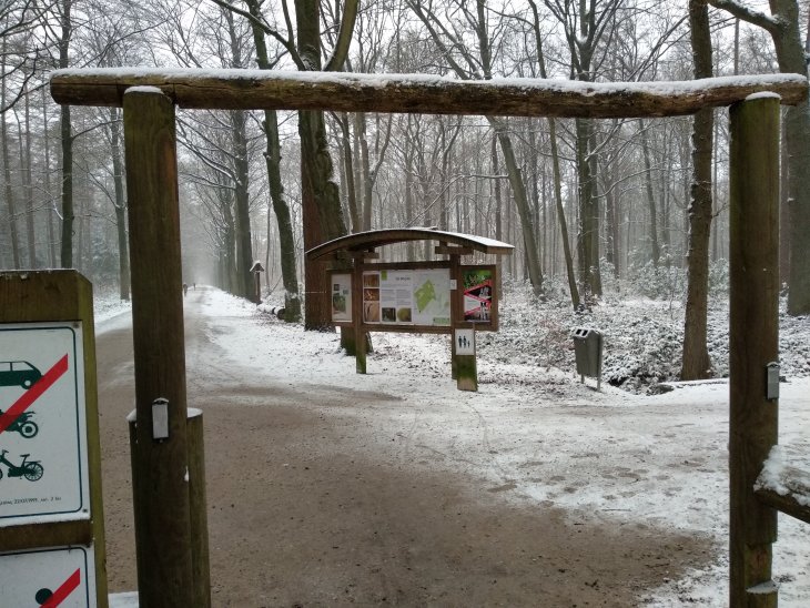 Sneeuw in Maria-ter-Heide