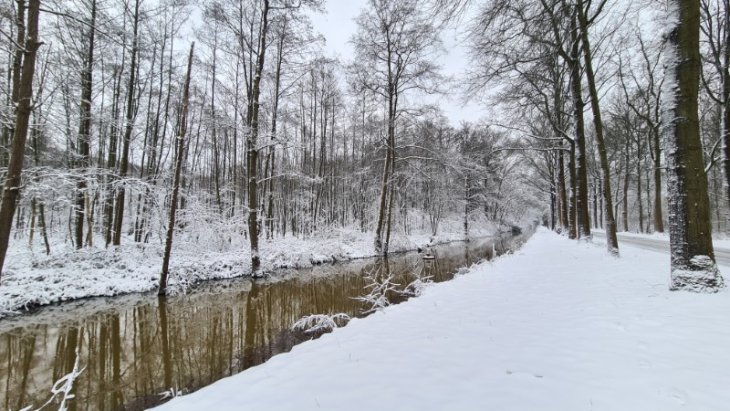 Sneeuw in Maria-ter-Heide (Hofgracht De Mik).