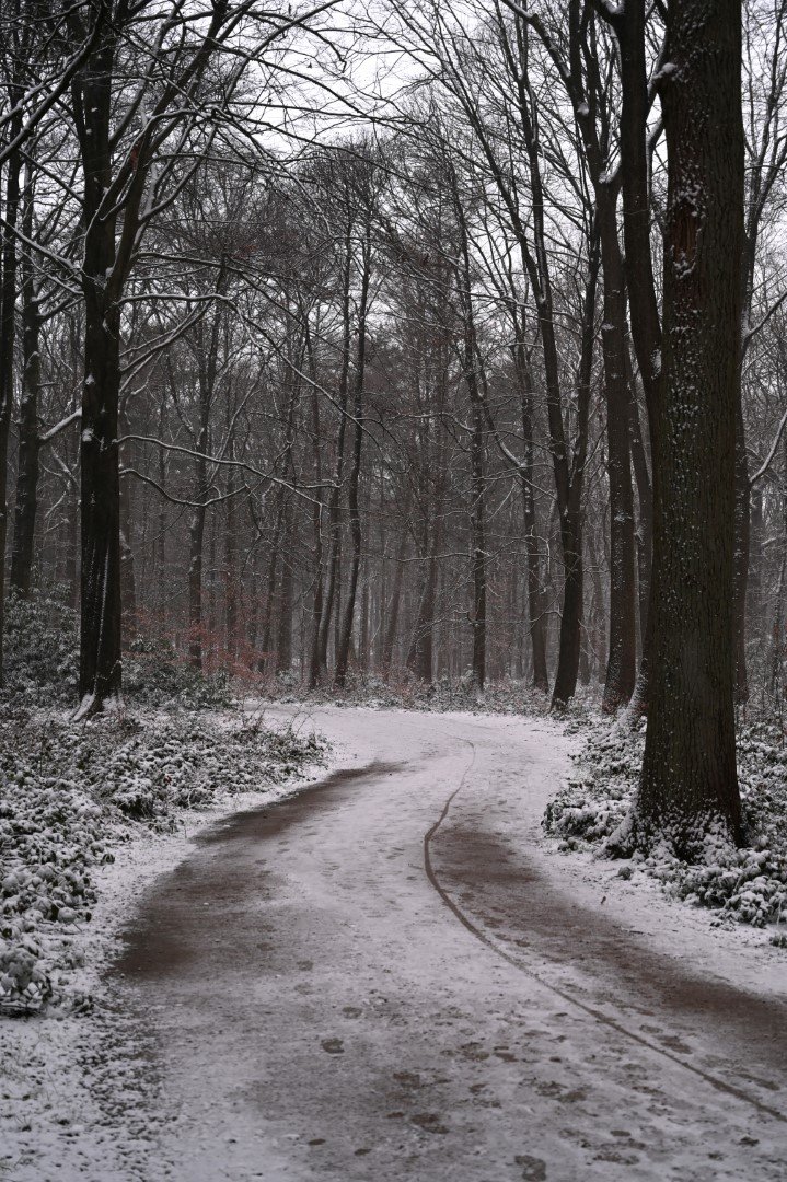 Sneeuw in Maria-ter-Heide