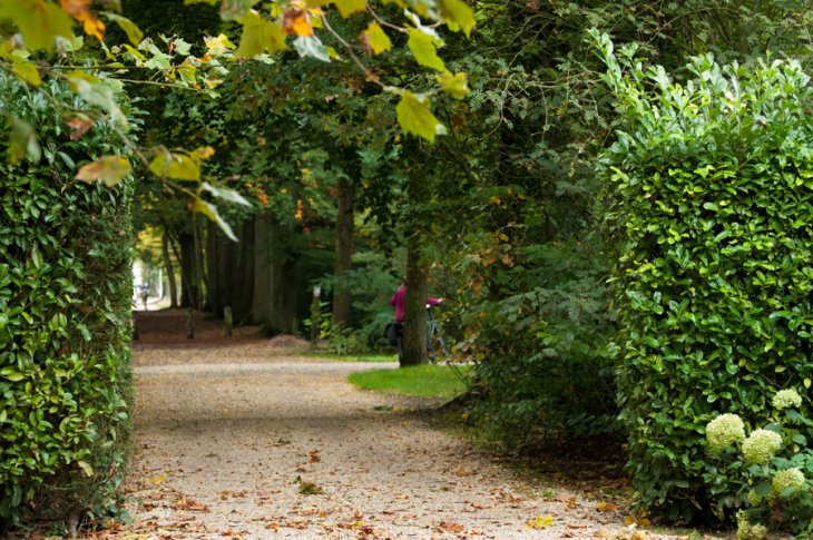 Herfst in Maria-ter-Heide 2019 (23)