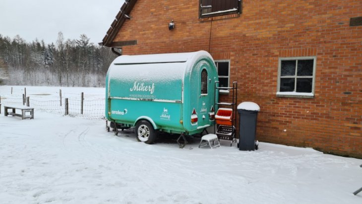 Sneeuw in Maria-ter-Heide (Kinderboerderij Mikerf).