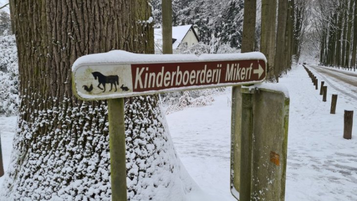 Sneeuw in Maria-ter-Heide.