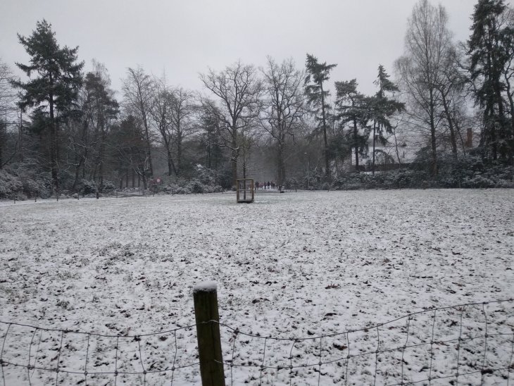 Sneeuw in Maria-ter-Heide