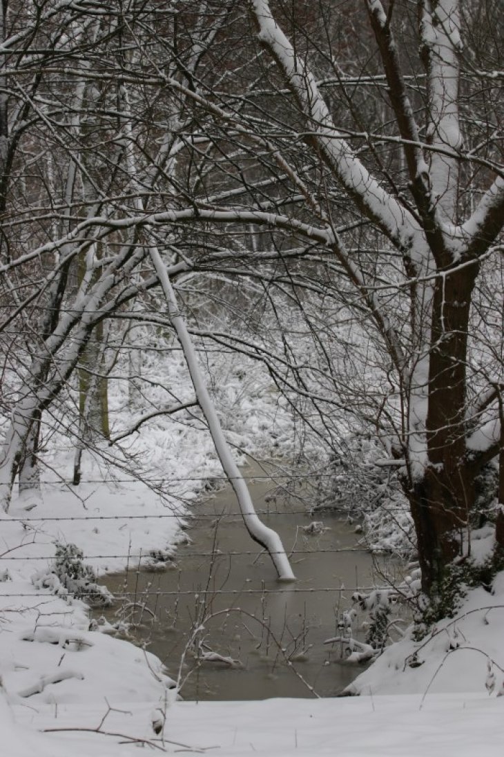 Sneeuw in Maria-ter-Heide.