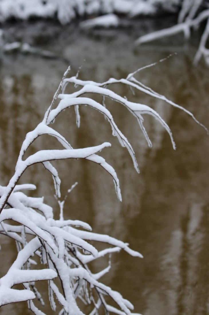 Sneeuw in Maria-ter-Heide (park De Mik).