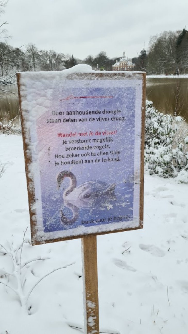 Sneeuw in Maria-ter-Heide (park De Mik).