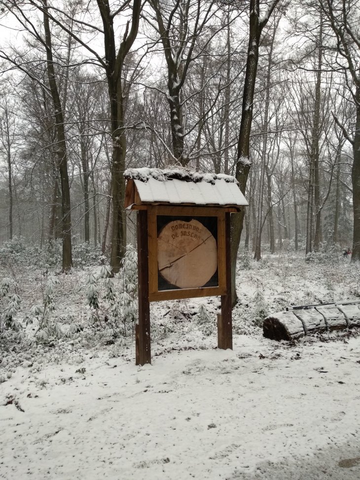 Sneeuw in Maria-ter-Heide