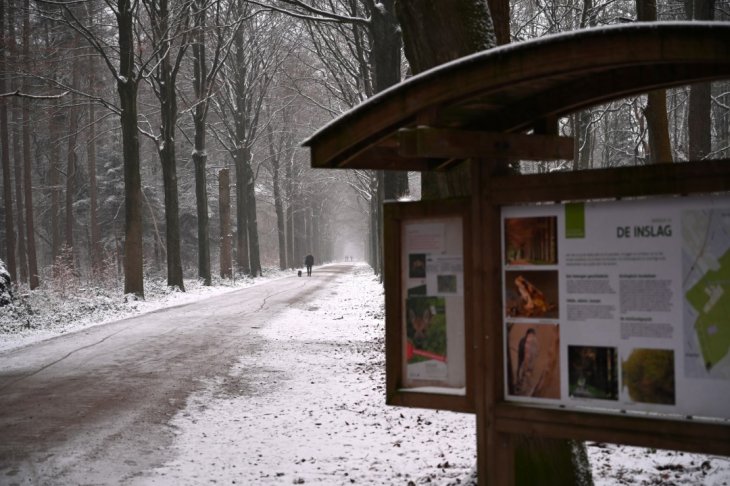 Sneeuw in Maria-ter-Heide