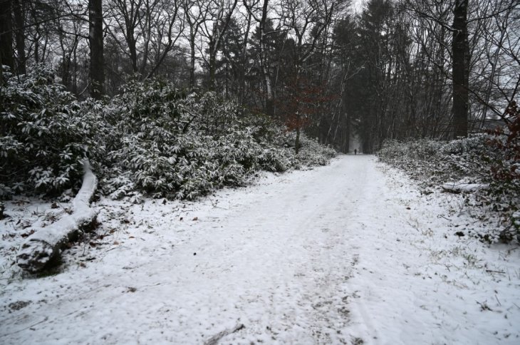 Sneeuw in Maria-ter-Heide