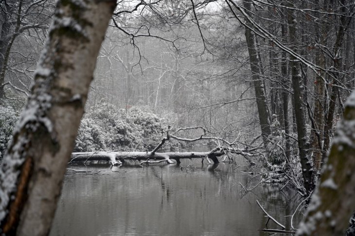 Sneeuw in Maria-ter-Heide